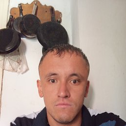 , 26, 