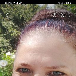 , 61, 