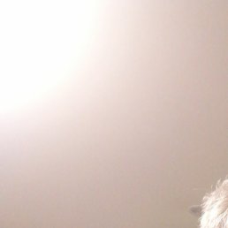 ����, ������, 22 ����