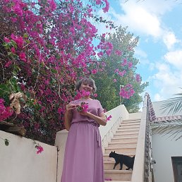 , 58, 