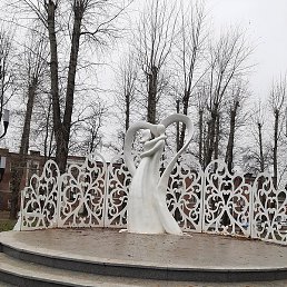 ������, ������ ��������, 53 ����