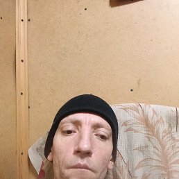 ������, 41 ���, ������