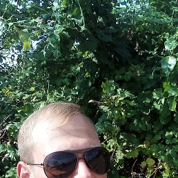 ���� �����, ������, 38 ��� - ��������� 18 ����� 2024