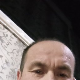  , 48, 
