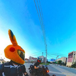 ������, ������, 38 ���