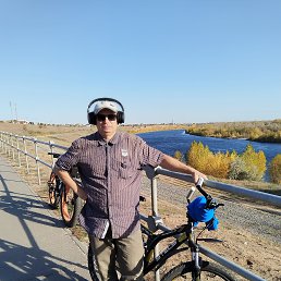 ��������, 38 ���, ���������