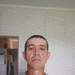 , 50, 