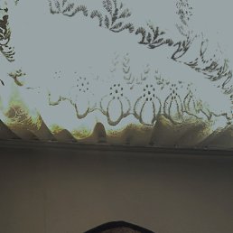 , 31, 