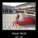  , , 51  -  27  2025    