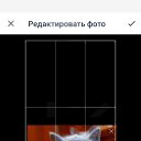 ���� �����., ����, 39 ��� - ��������� 6 ������ 2025 � ������ ���� ����������