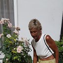 ���� ����, ������������, 54 ���� - ��������� 15 ������� 2025 � ������ ���� ����������