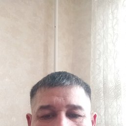 , 42, 