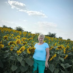 ����, ���������, 63 ����