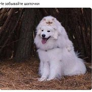 ����, 19 ���, ������