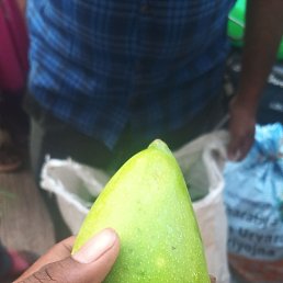 Vikas Badli, �����������, 85 ���