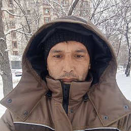 ����, 38 ���, ���������