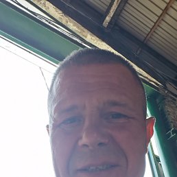 , 48, 