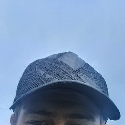 �����, 21 ���, ���������