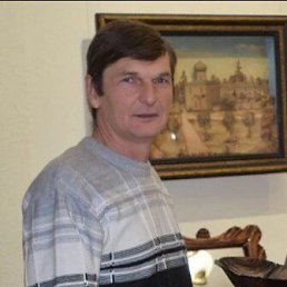 , 53 , 