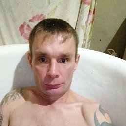����, 37 ���, ���������