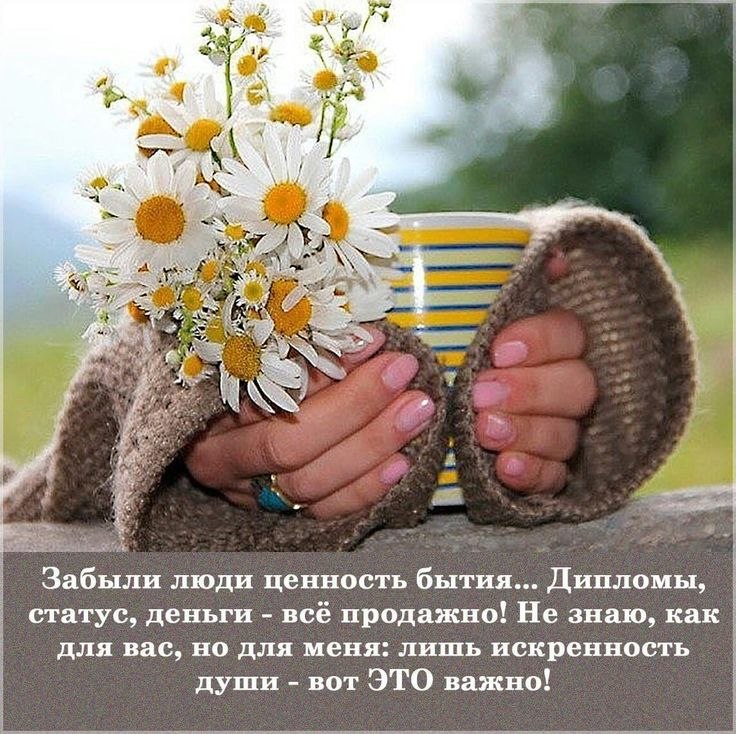   ,    . - 14  2025  07:40