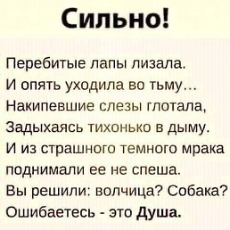 ���� ����, ������, 46 ��� - ��������� 23 ���� 2025