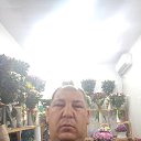  , , 41  -  8  2024    