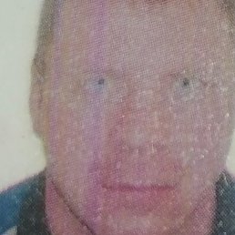 �������, 32 ����, �����