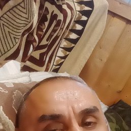 , 54, 