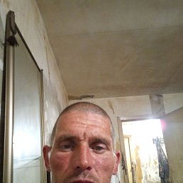 , 43, 