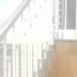 ������, ����, 46 ���