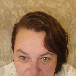 ���� �������, �����������, 51 ��� - ��������� 22 ������� 2026
