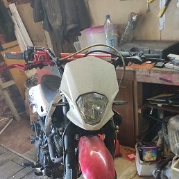 �����, ��������, 39 ���