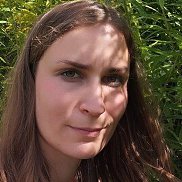 , 33 , 