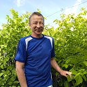 ���� ����, �������-���������, 65 ��� - ��������� 17 ������ 2025 � ������ ���� ����������