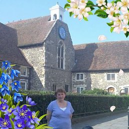 �������, �����, 74 ����