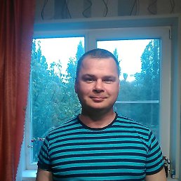 ����, 44 ����, ���������