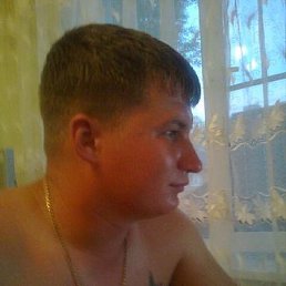 ����, ������, 41 ���