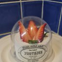 ���� ������, ������������, 55 ��� - ��������� 15 ������ 2025 � ������ ������