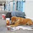 ���� ������, ���������, 62 ���� - ��������� 6 ������ 2025