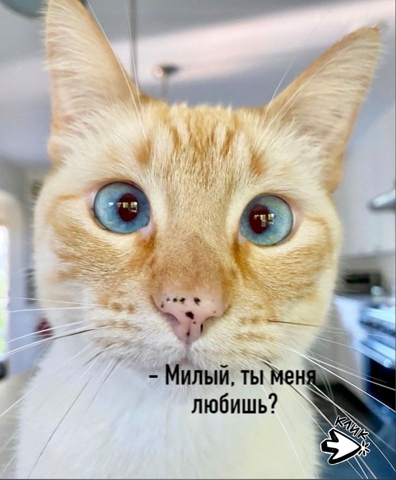 ��� ���� � ����� �� �� - 2 ���� 2026 � 11:02
