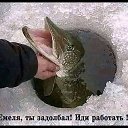    , -, 72  -  7  2025    Ȼ