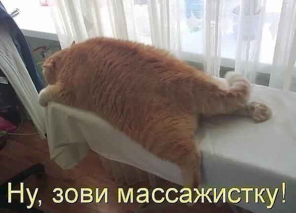    - 15  2024  08:19