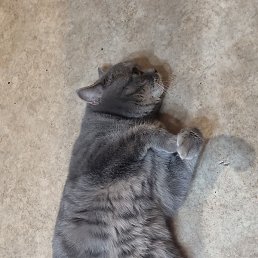 ����, ������, 48 ���