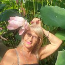  , -, 65  -  18  2024    