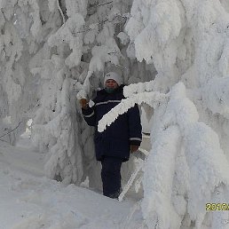 �������), ����������, 49 ���