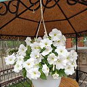 ���� ��������, ������������, 45 ��� - ��������� 13 ������ 2025 � ������ ���� ����������