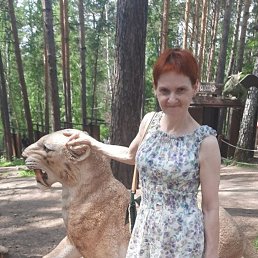 , 53, 