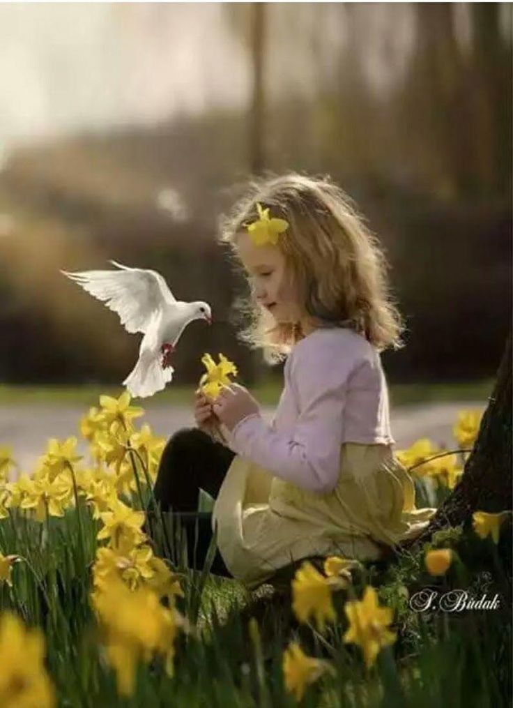     ...        ?      ...