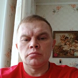 ����, 41 ���, ����-���������